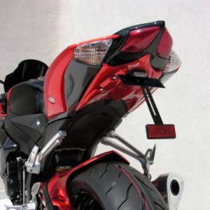 Kit de soporte de matrícula con luz de matrícula y catadióptrico 7904xx092 Ermax 790400092