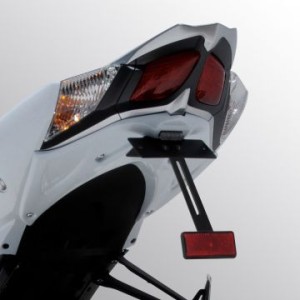 Kit de soporte de matrícula con luz de matrícula y catadióptrico 7904xx095 Ermax 790412095