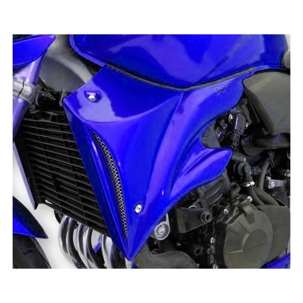 Pareja de escopas laterales 7601xx096 Ermax 760114096