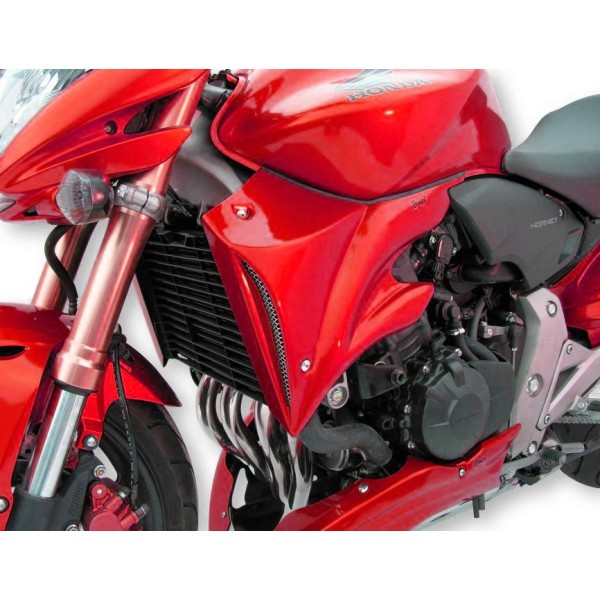 Pareja de escopas laterales 7601xx096 Ermax 760116096