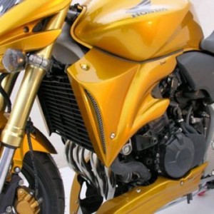 Pareja de escopas laterales 7601xx096 Ermax 760171096