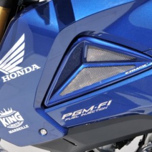 Pareja de escopas laterales 7601xx138 Ermax 760114138