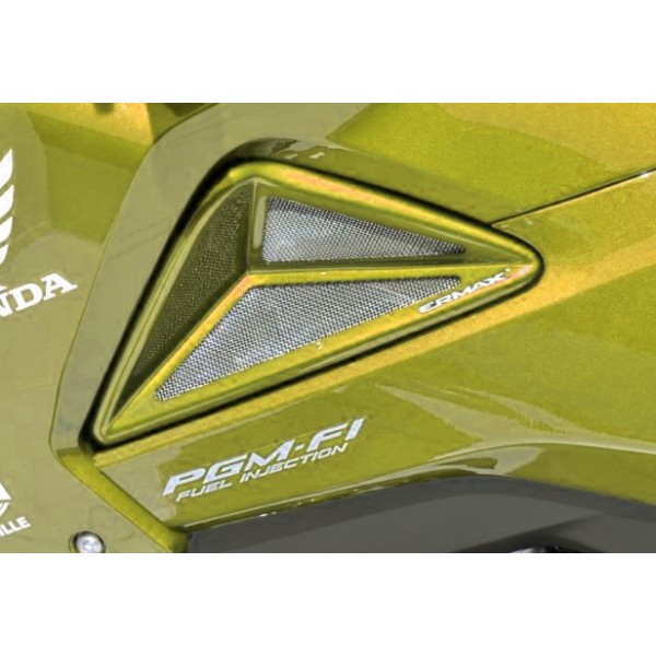 Pareja de escopas laterales 7601xx138 Ermax 760140138