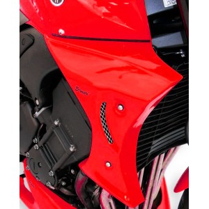 Pareja de escopas laterales 7602xx082 Ermax 760216082