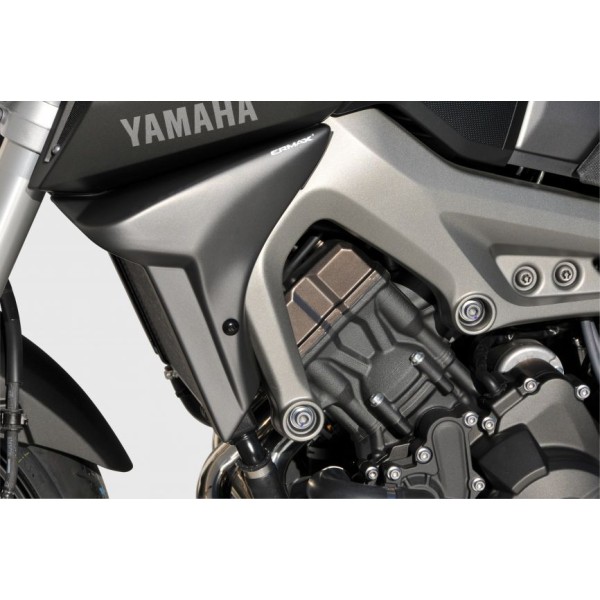 Pareja de escopas laterales 7602xx117 Ermax 760246117