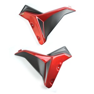 Pareja de escopas laterales 7602xx121 Ermax 760288121