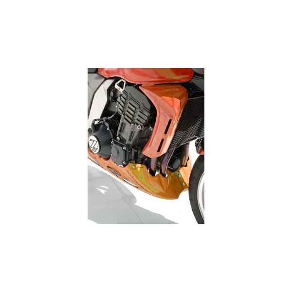 Pareja de escopas laterales 7603xx054 Ermax 760334054