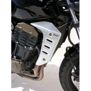 Pareja de escopas laterales 7603xx055 Ermax 760395055