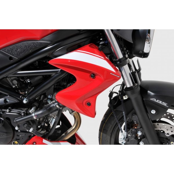 Pareja de escopas laterales 7604xx113 Ermax 7604BD113