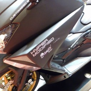 Toma de aire lateral izquierda hyper modificada 7630xxlzg Ermax 763090LZG