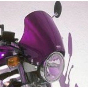 Cupolino Nasty 29 cm 0605xx023 Ermax 060551023