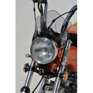 Cupolino doble burbuja Newteam Replica 0616xx001 Ermax 061601001