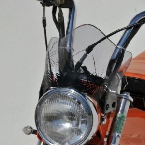 Cupolino doble burbuja Newteam Replica 0616xx001 Ermax 061654001