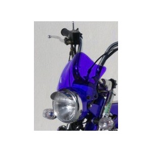 Cupolino doble burbuja Skyteam Replica 0617xx001 Ermax 061704001