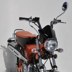 Cupolino doble burbuja Spigaou Replica 0619xx001 Ermax 061956001