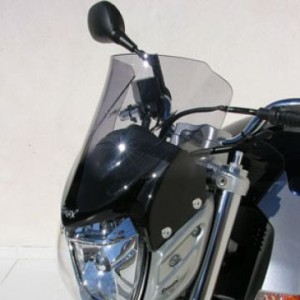 Cúpula Aeromax doble burbuja 0704xx080 Ermax 070454080