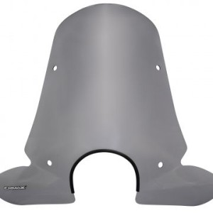 Parabrisas Grandissimo de corte omega sin serigrafía gd05xx04s Ermax GD055404S