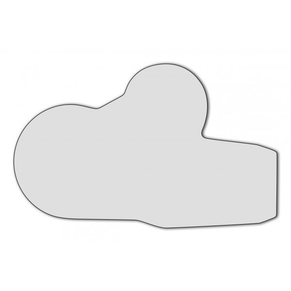 Protector de pantalla del cuadro de instrumentos Eazi-grip  R&G DASHBMW014