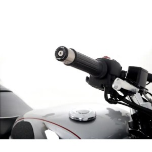 Contrapesas para BSA Gold Star 2023-2024  R&G BE0213BK