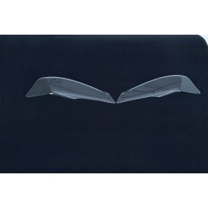 Protector de faro hls0043xx  R&G HLS0043CL