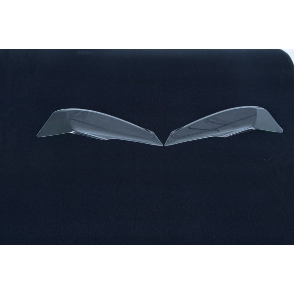 Protector de faro hls0043xx  R&G HLS0043CL