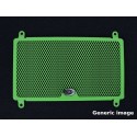 Rejilla protectora de radiador de agua rad0091xx  R&G RAD0091GR