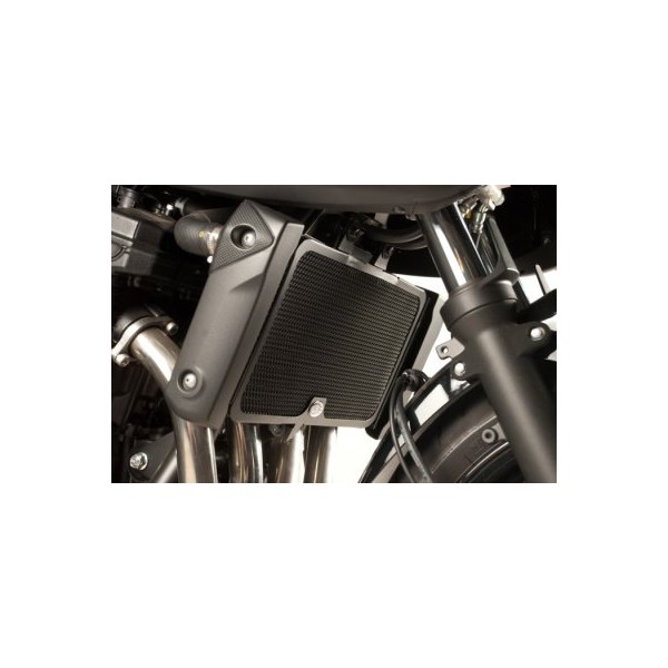 Rejilla protectora de radiador de agua rad0110xx  R&G RAD0110BK