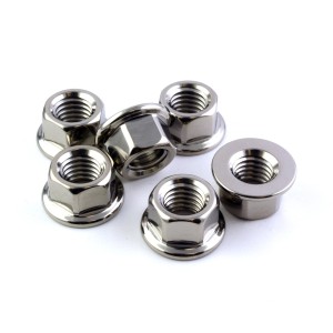 Tuercas de corona (5 piezas) rgn03xx-5 M10X1.50 R&G RGN03TI-5