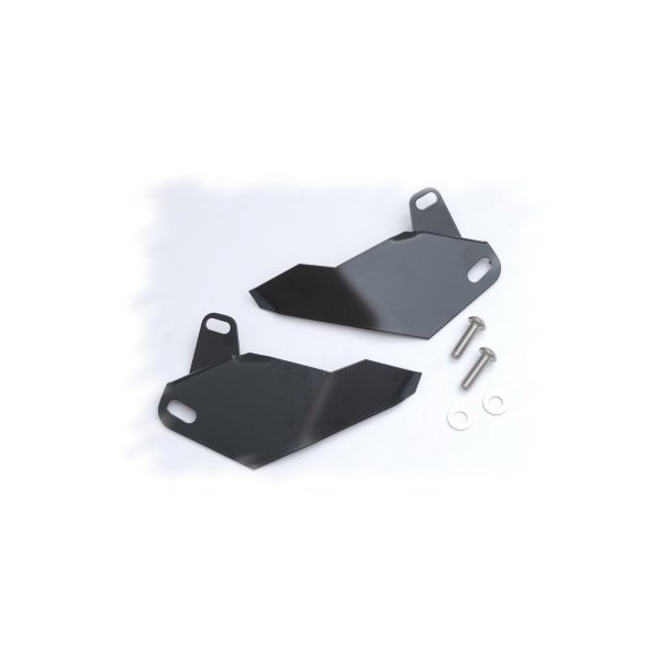 Laterales de soporte de matrícula P001  R&G P001