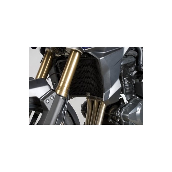 Rejilla protectora de radiador de agua RAD0118BK  R&G RAD0118BK