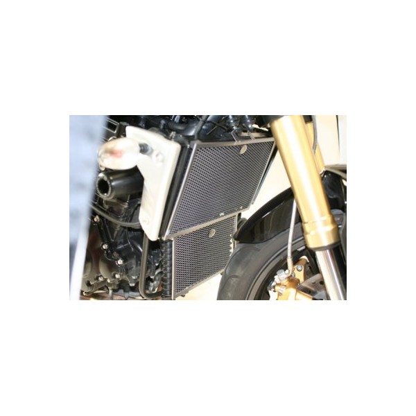 Kit de rejillas protectoras de radiadores de agua y de aceite RAD9015BK  R&G RAD9015BK