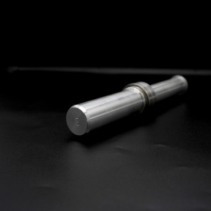 Pin para caballete trasero monobrazo WSPS/PIN/E 30.5mm R&G WSPS-PIN-E