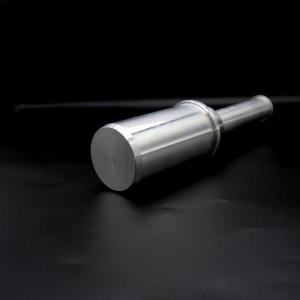 Pin para caballete trasero monobrazo WSPS/PIN/J 52mm R&G WSPS-PIN-J