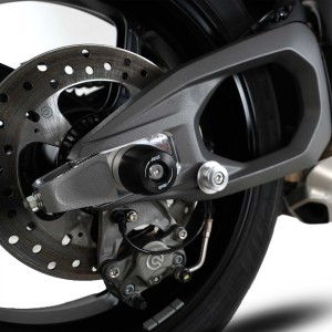 Protector de basculante  R&G SP0110BK