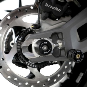 Protector de basculante  R&G SP0123BK