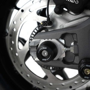 Protector de basculante  R&G SP0123BK