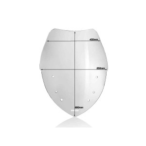 Parabrisas Caponord Ahumado WRS BM038F