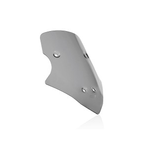 Parabrisas Caponord Ahumado WRS DU016F