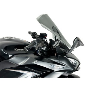 Parabrisas Caponord Ahumado WRS KA014F