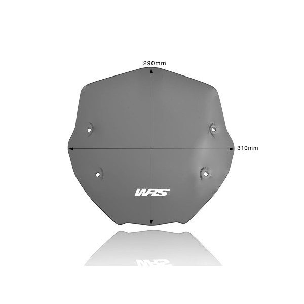 Parabrisas Sport Ahumado Oscuro WRS BM056FS