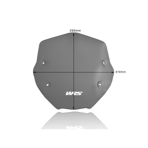 Parabrisas Sport Ahumado Oscuro WRS BM056FS