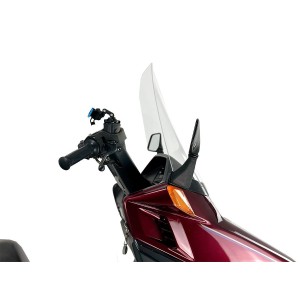 Parabrisas Estándar Transparente WRS HO079T