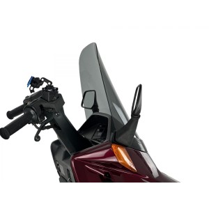 Parabrisas Estándar Ahumado WRS HO079F