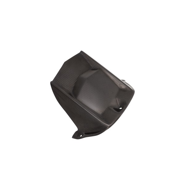 Guardabarros trasero Acabado brillo Lightech CARY9920