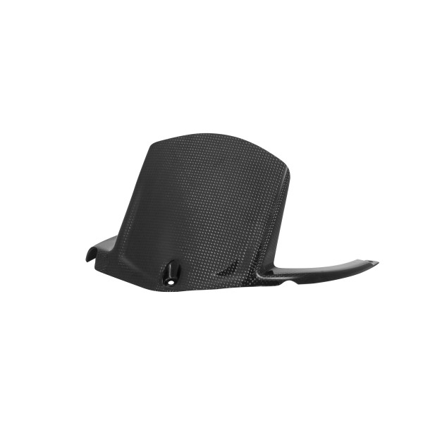 Guardabarros trasero Acabado brillo Lightech CARK9620