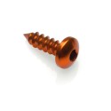 Tornillo rosca chapa Oro Lightech PAC25516ORO