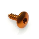 Tornillo rosca chapa Oro Lightech PAC34916ORO