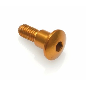 Tornillo especial M6 Oro Lightech 1019ORO