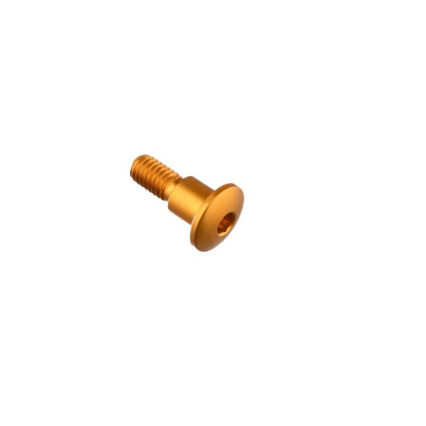 Tornillo especial M6 Oro Lightech 976ORO