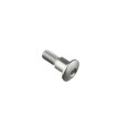 Tornillo especial M6 Plata Lightech 976SIL